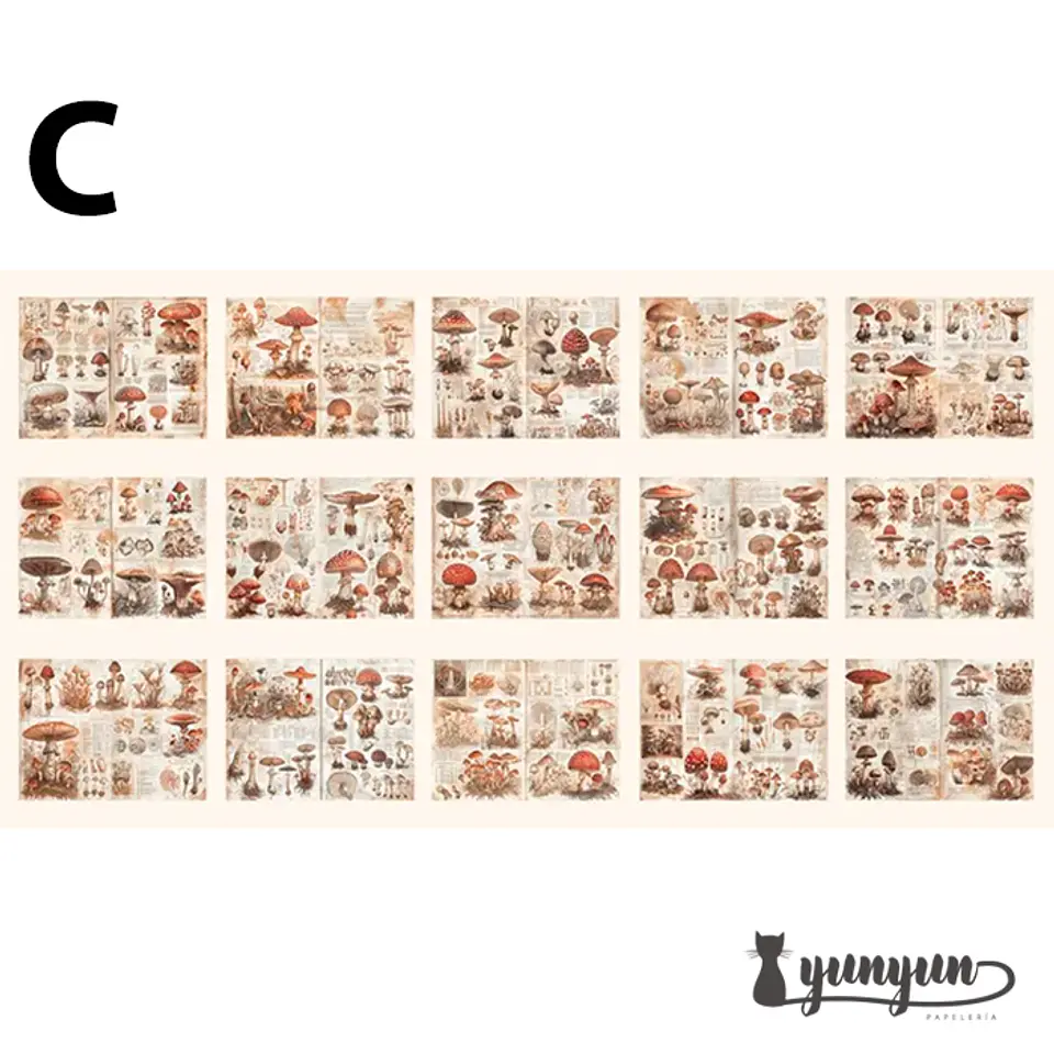 Papeles Vintage Collection - 30 pzas 10
