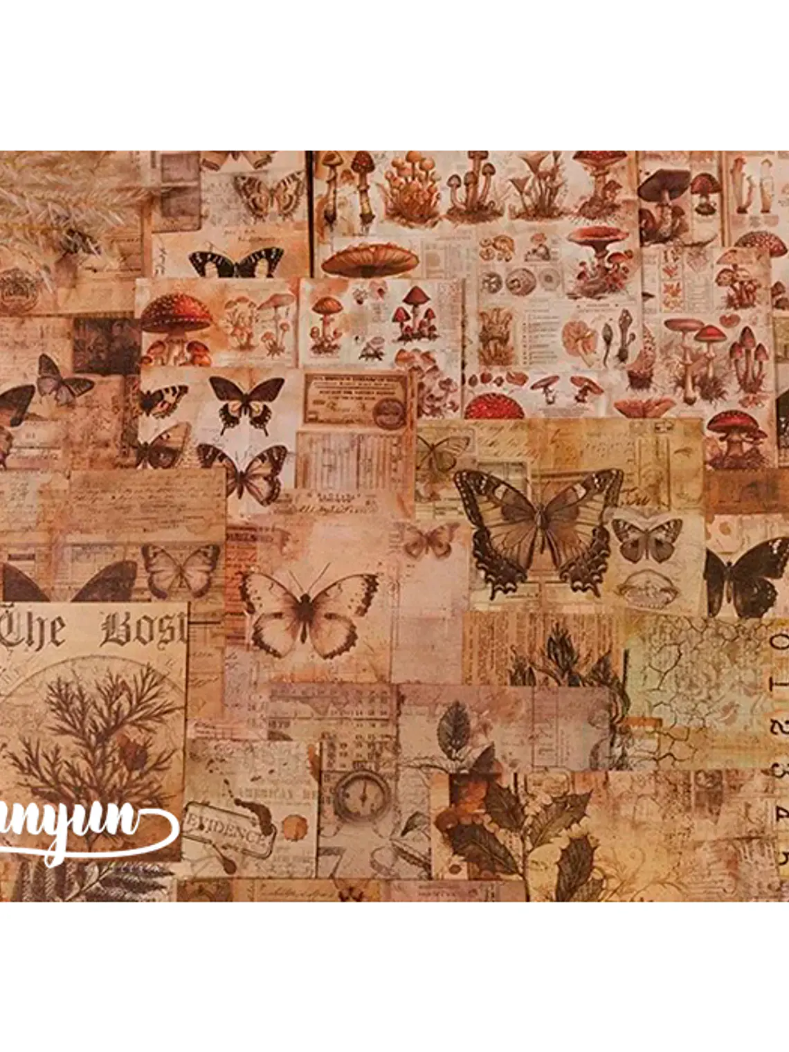 Papeles Vintage Collection - 30 pzas 5