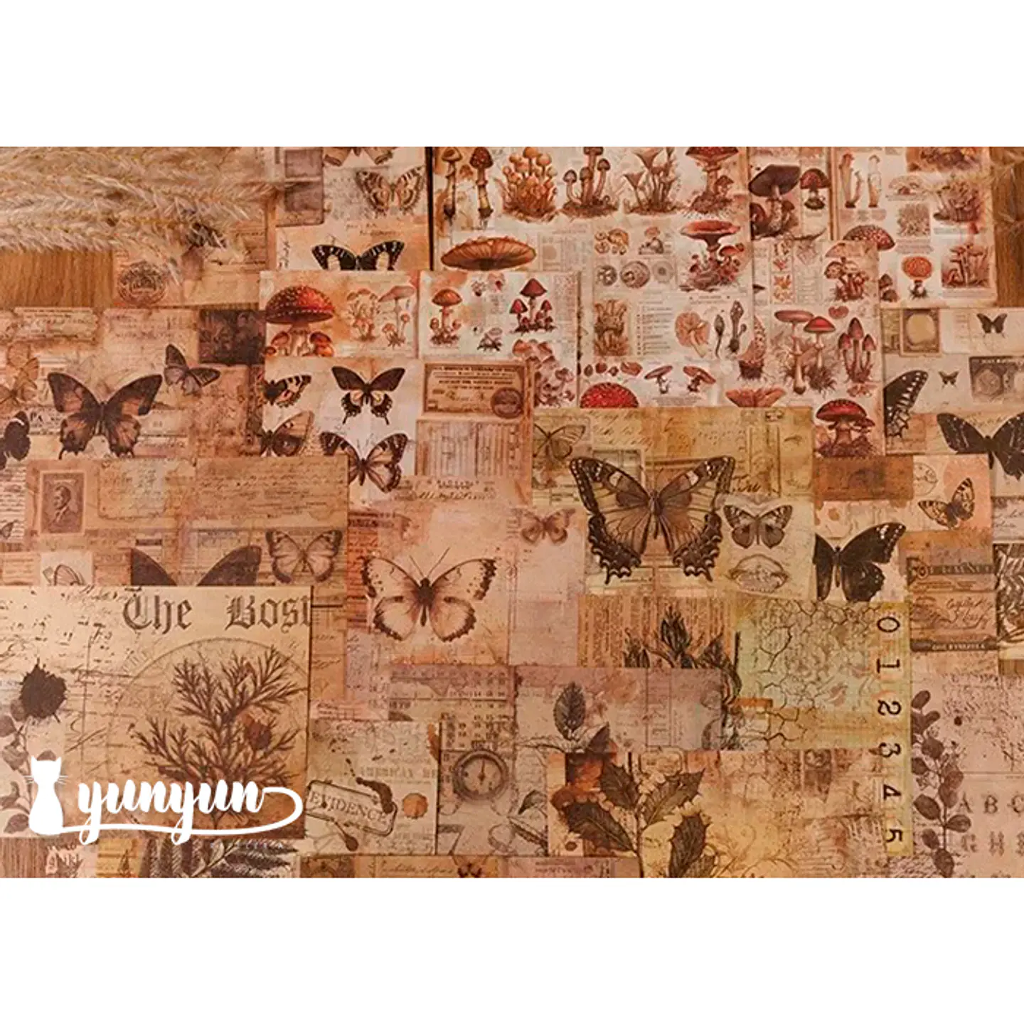 Papeles Vintage Collection - 30 pzas 5