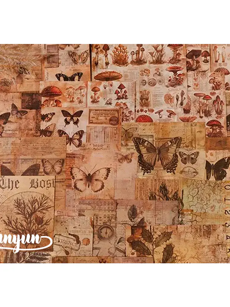 Papeles Vintage Collection - 30 pzas 5