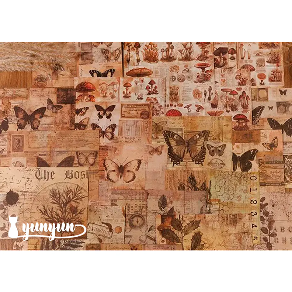 Papeles Vintage Collection - 30 pzas 5