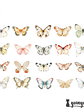 Stickers Mariposas II - 40 pzas - Miniatura 9