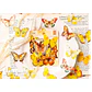 Stickers Mariposas II - 40 pzas - Miniatura 5