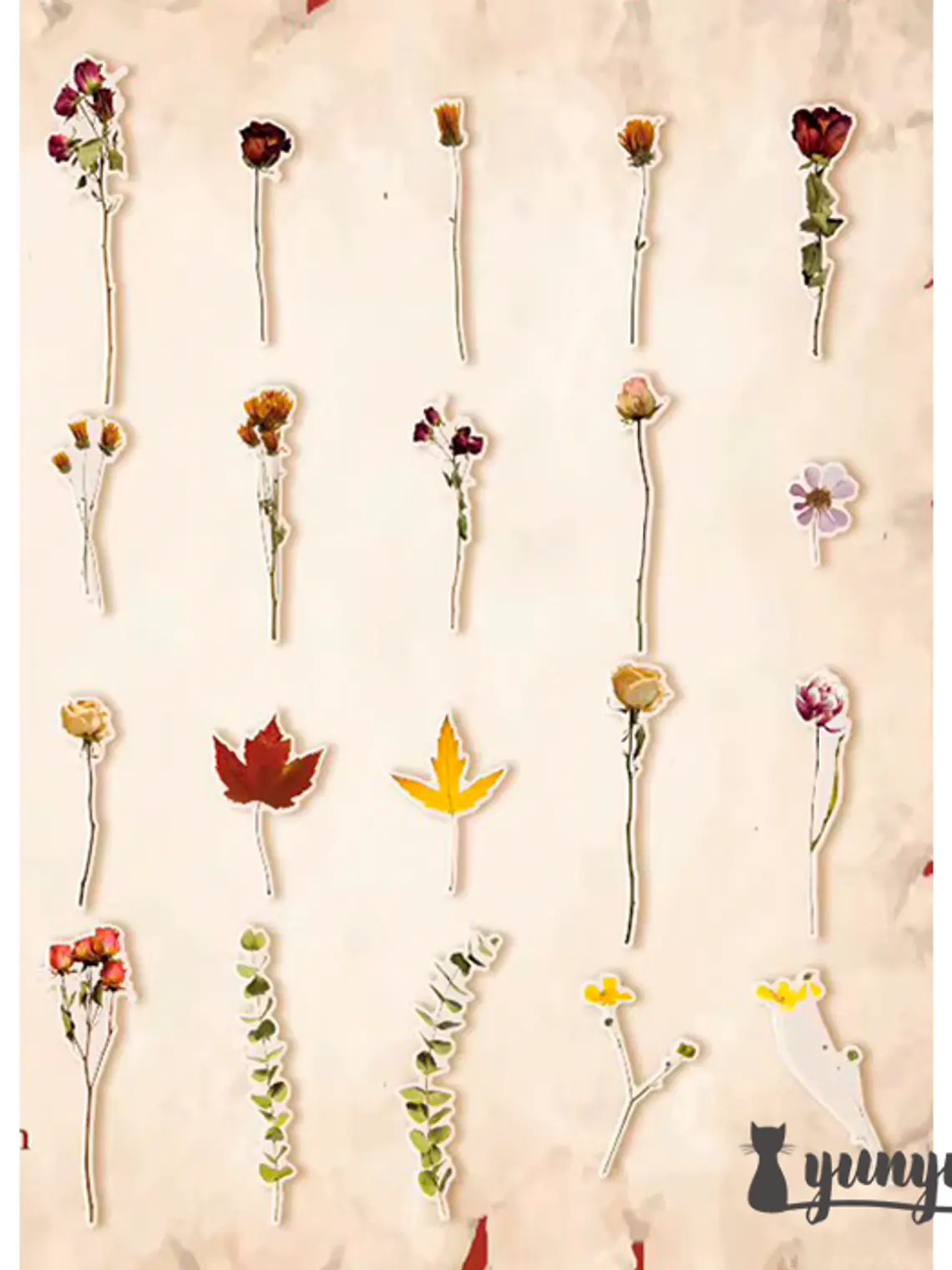 Stickers Botánica - 40 pzas 9