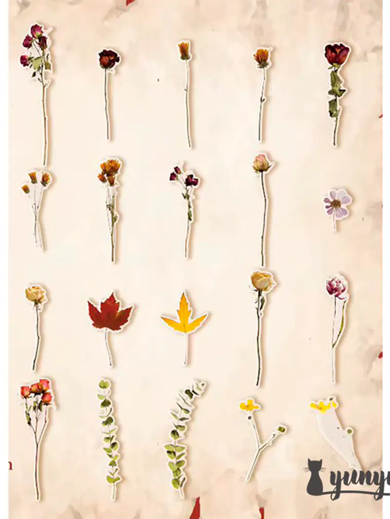 Stickers Botánica - 40 pzas 9