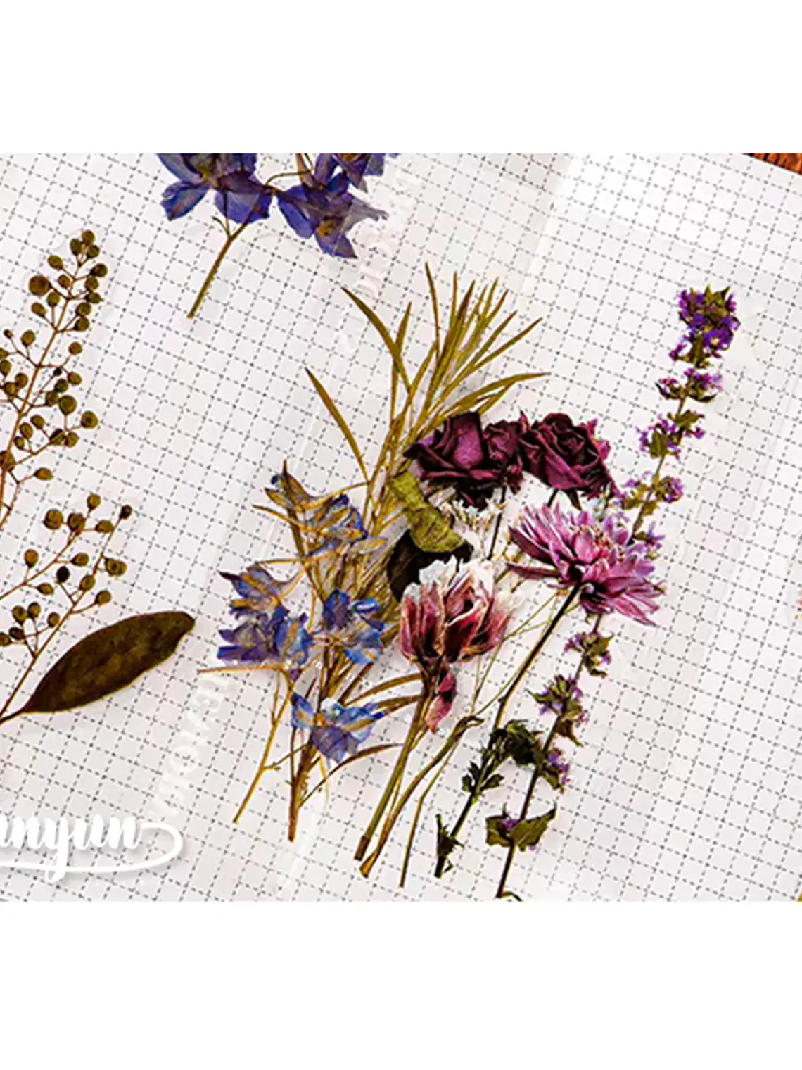 Stickers Botánica - 40 pzas 11