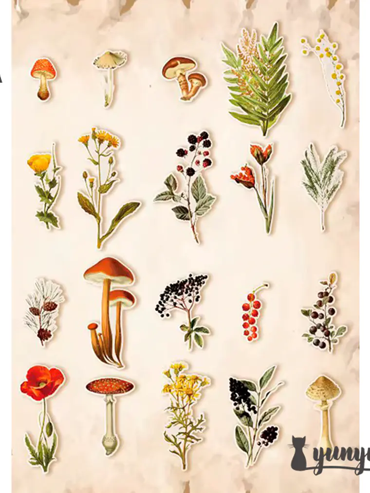 Stickers Botánica - 40 pzas 6