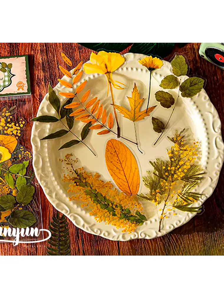 Stickers Botánica - 40 pzas 3