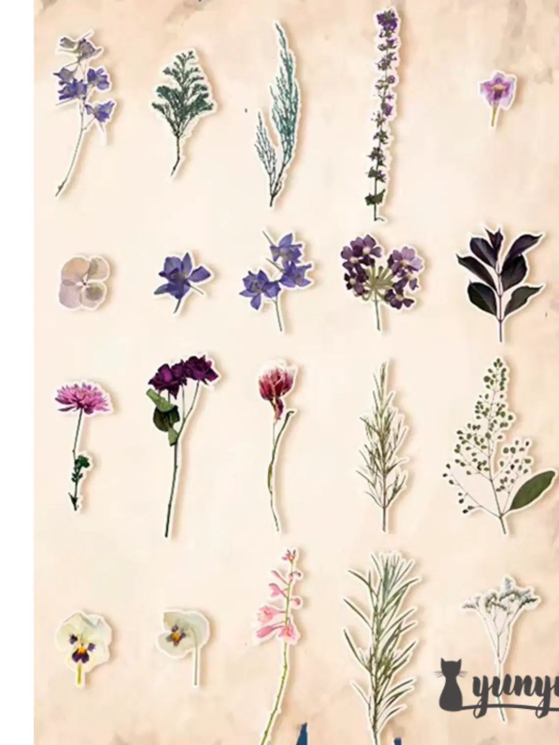 Stickers Botánica - 40 pzas 8