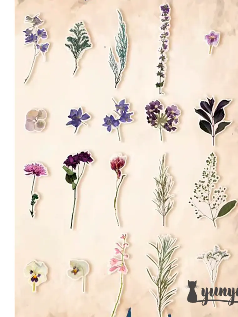 Stickers Botánica - 40 pzas 8