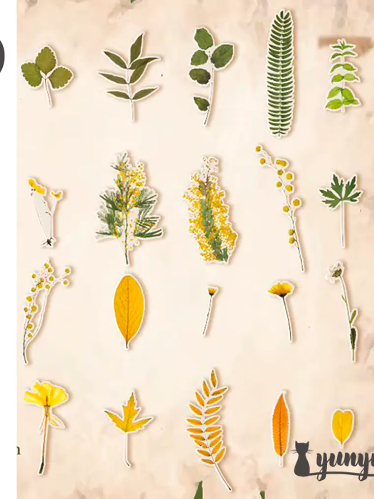 Stickers Botánica - 40 pzas 10