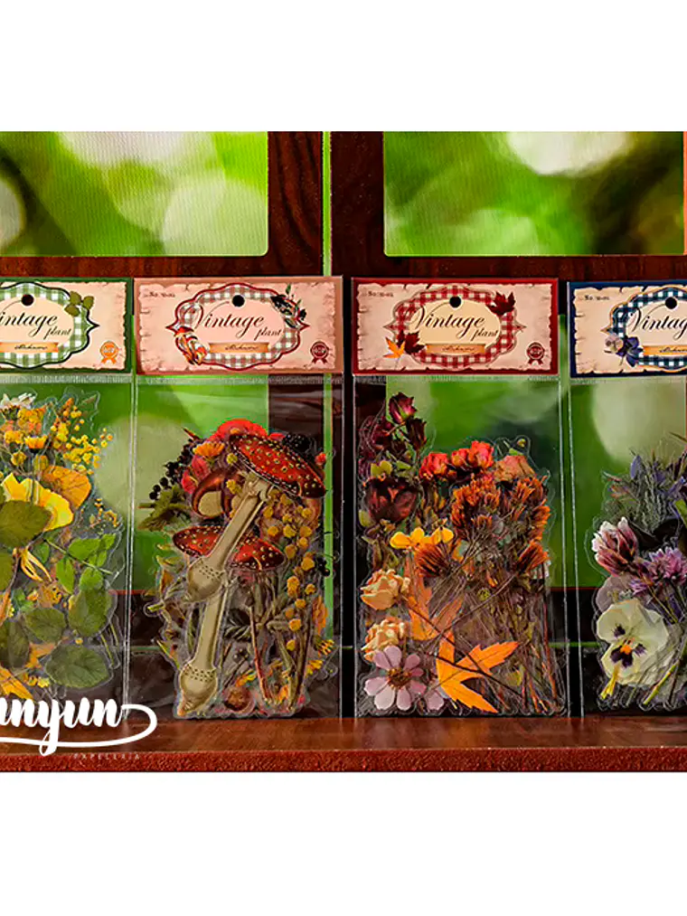 Stickers Botánica - 40 pzas 4