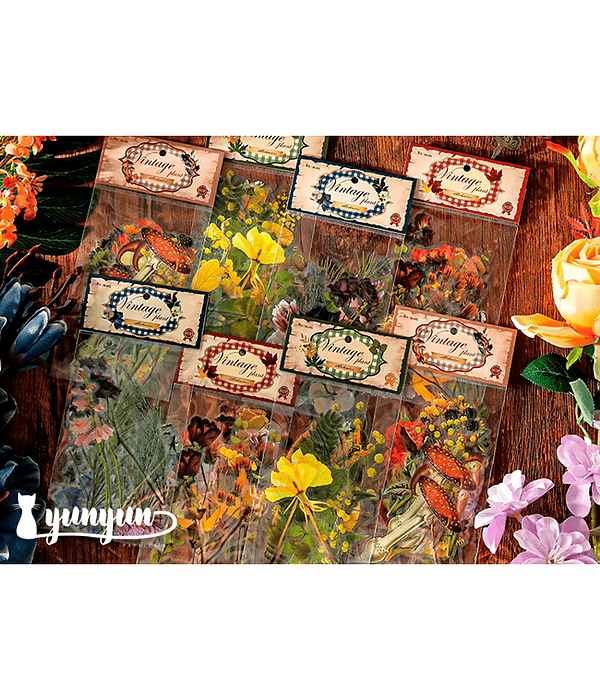 Stickers Botánica - 40 pzas