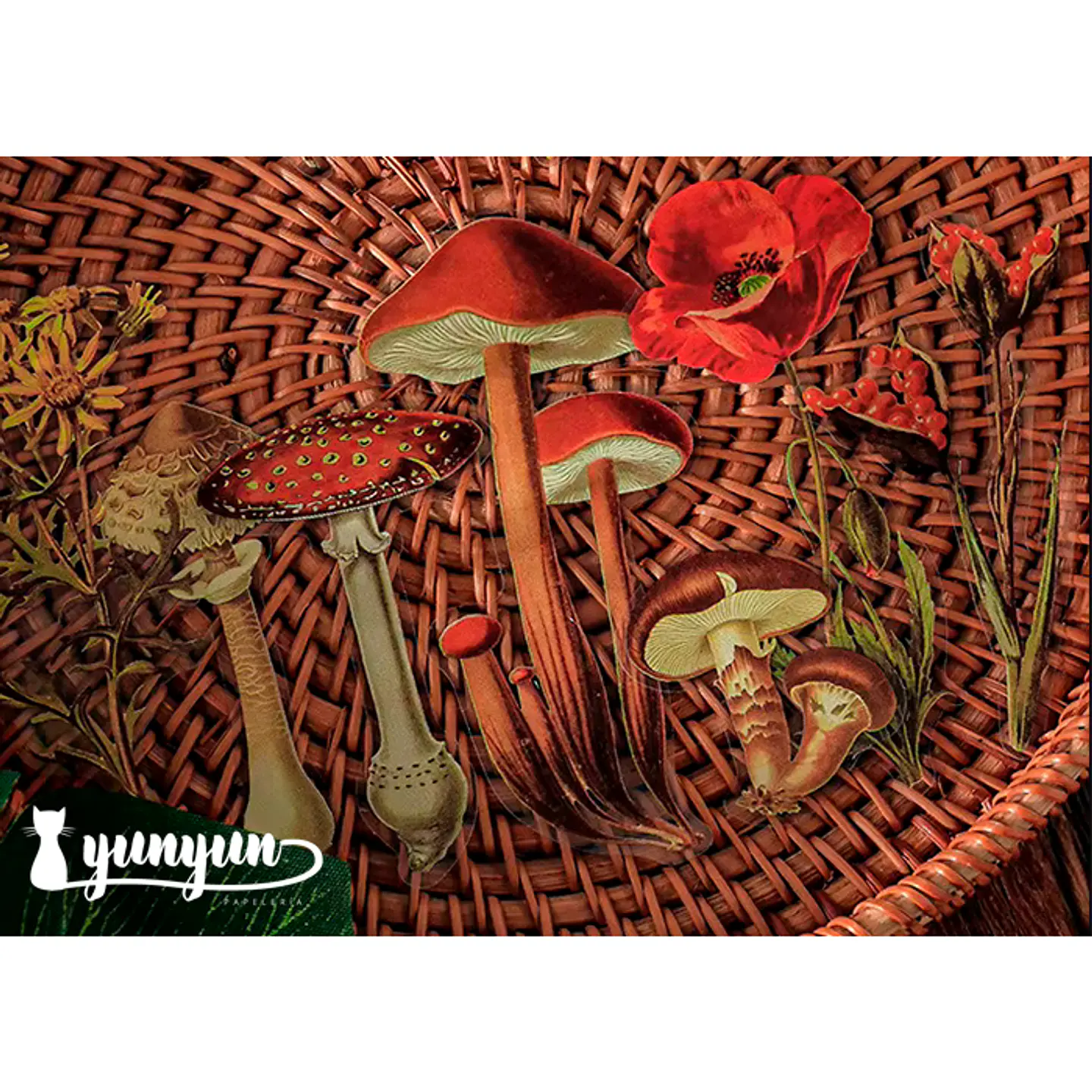 Stickers Botánica - 40 pzas 5