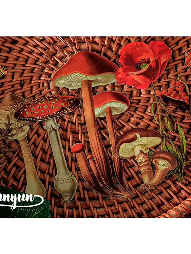 Stickers Botánica - 40 pzas 5