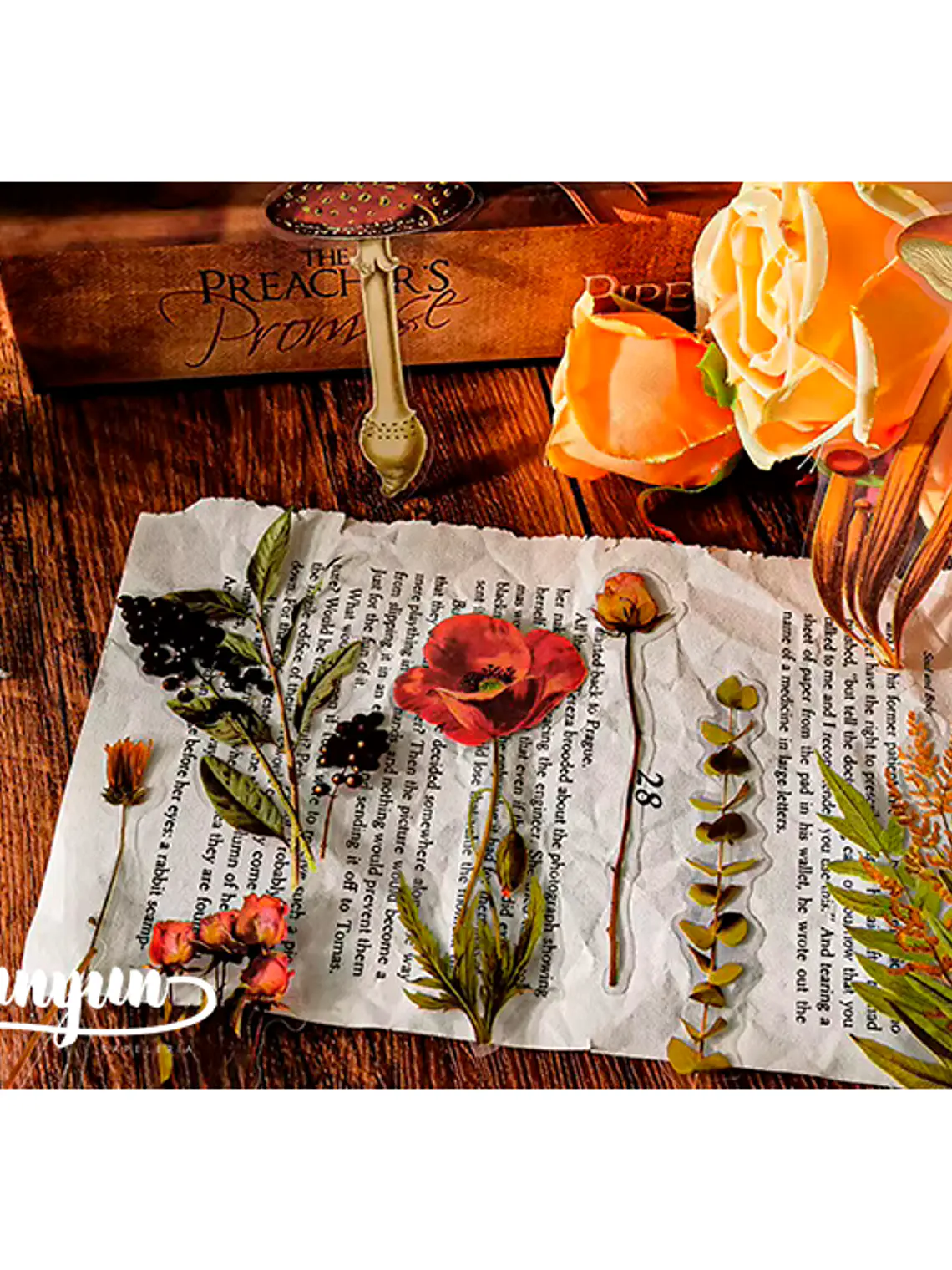 Stickers Botánica - 40 pzas 7