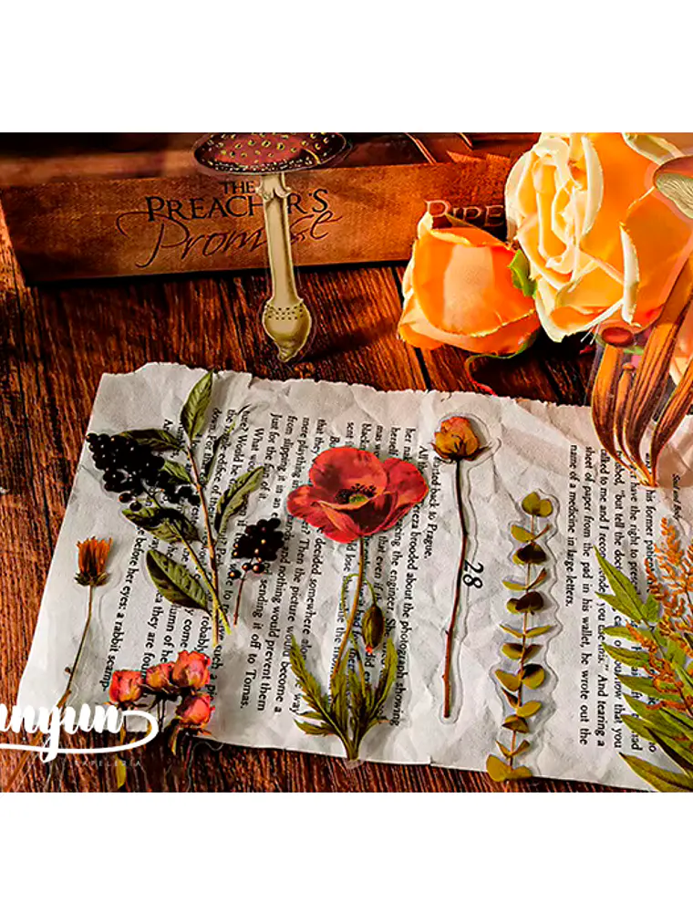 Stickers Botánica - 40 pzas 7