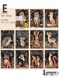 Papeles Animales del Bosque - 30 pzas - Miniatura 12