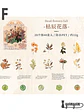 Stickers Mix Flores Vintage - 40 pzas - Miniatura 14