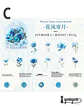Stickers Mix Flores Vintage - 40 pzas - Miniatura 11