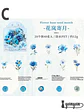 Stickers Mix Flores Vintage - 40 pzas - Miniatura 11