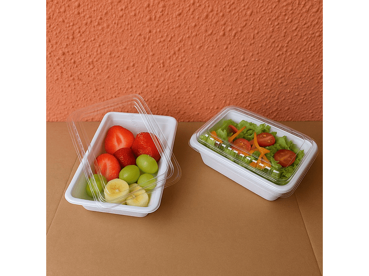 Multiuso Bagasse 600ml con Tapa Pet 1