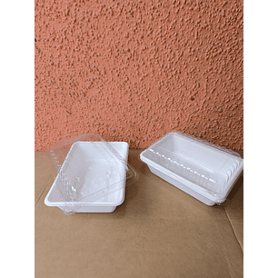 Multiuso Bagasse 1.000ml con Tapa Pet