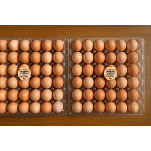 Bandeja PET Reutilizable para 30 Huevos – Alta Durabilidad y Protección Superior