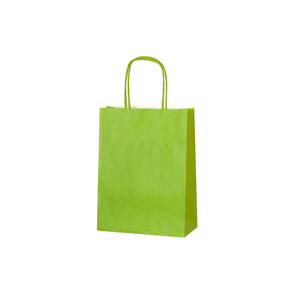 Pack 12 Bolsas Verdes 16x21x8 Zacos