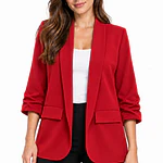 Blazer Manga Recogida