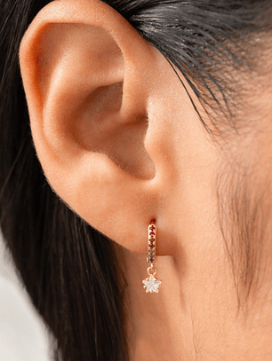 candonga rainbow estrella