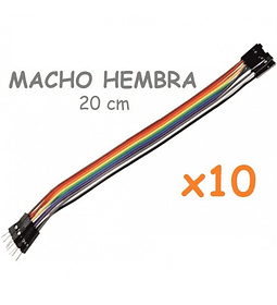 Jumpers Dupont  20cm Macho Hembra X10