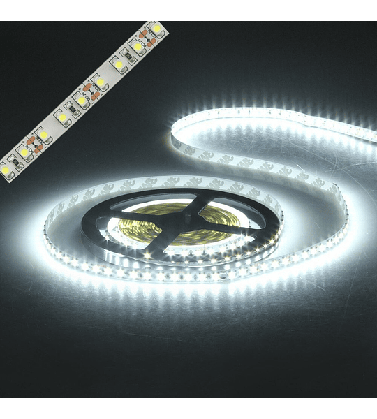 CINTA LED 3528 BLANCA O AZUL 1mtr