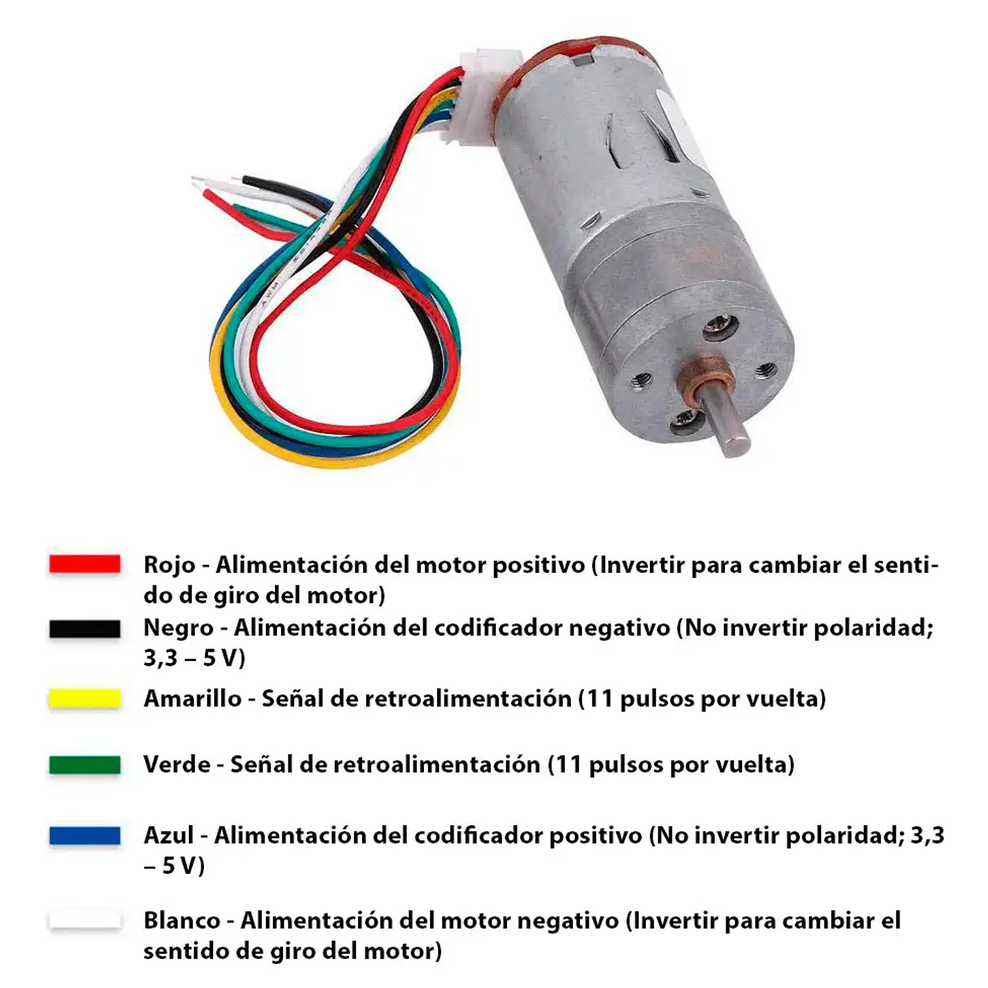 MOTOR CON ENCODER Y CABLE DE CONEXION 12V REF JGA25-370 3