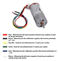 MOTOR CON ENCODER Y CABLE DE CONEXION 12V REF JGA25-370 - Miniatura 3
