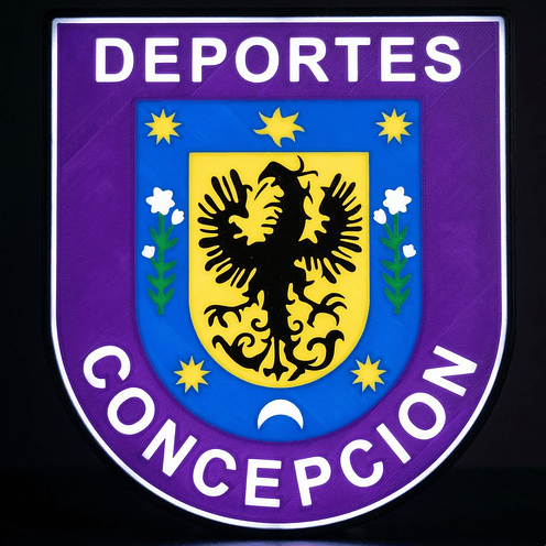 Lámpara Deportes Concepción 1