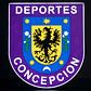 Lámpara Deportes Concepción - Miniatura 1