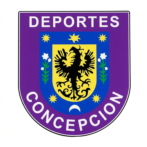 Lámpara Deportes Concepción 2