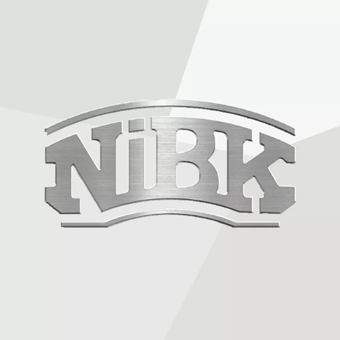 Pastillas Freno Delantera Nibk Hino Xzu Serie 300 5.9 / 6.5 3