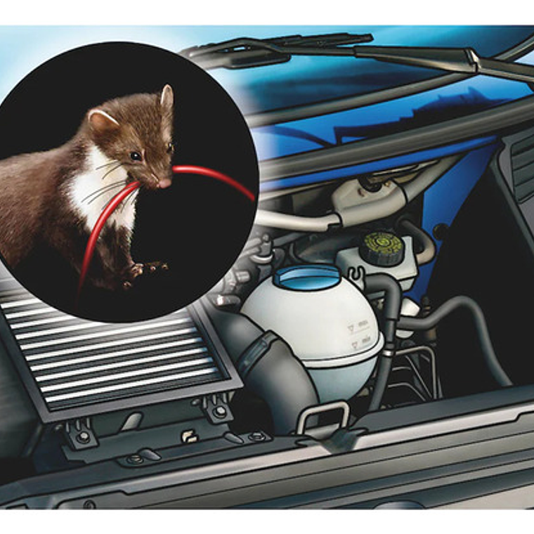 Repelente Roedor Incoloro Acabado Brilloso - Würth Expert 2