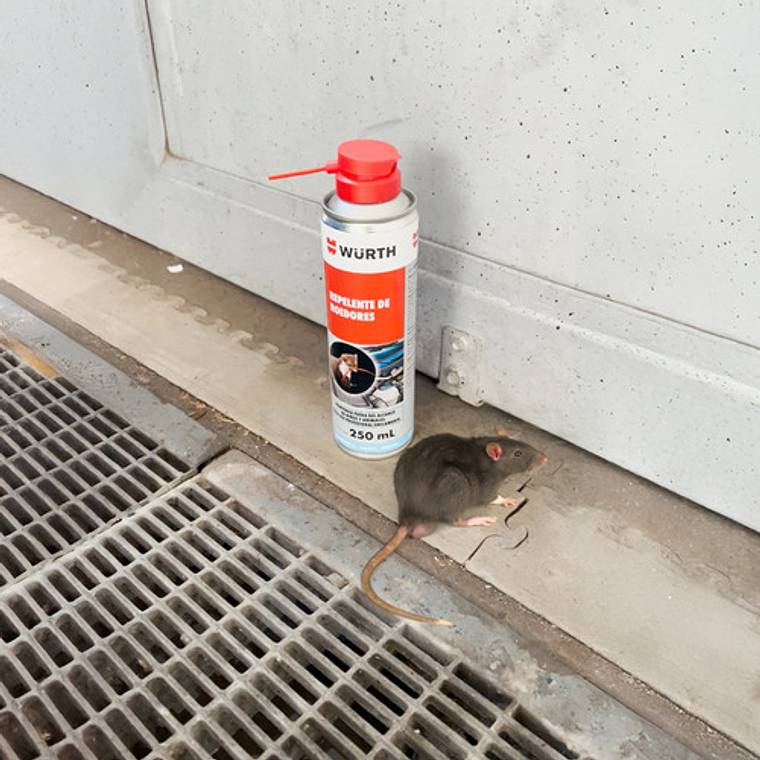 Repelente Roedor Incoloro Acabado Brilloso - Würth Expert 3