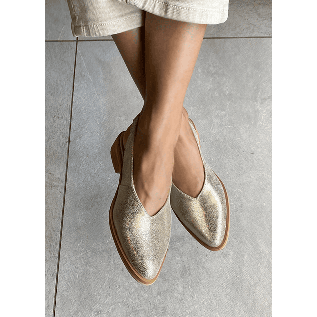 Zapato Colomba Doré