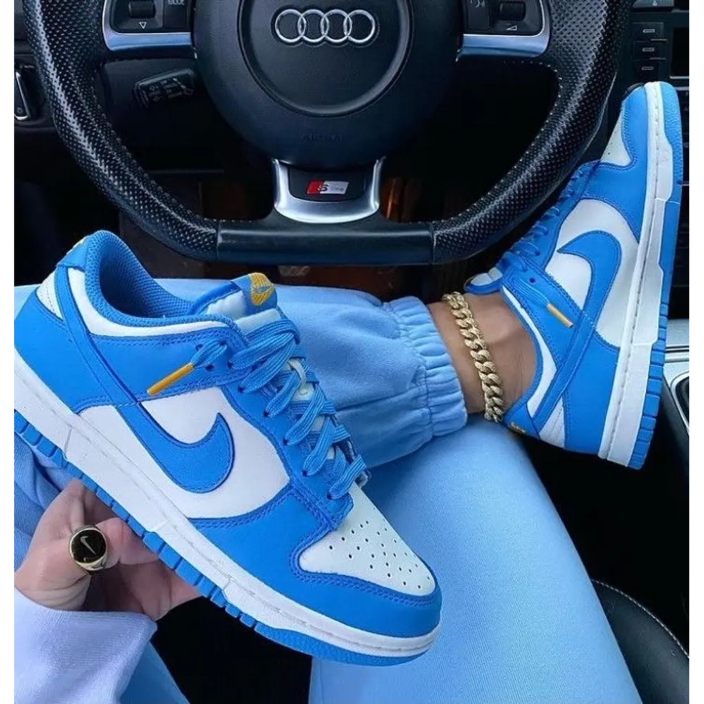 NIKE DUNK LOW COAST