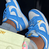 NIKE DUNK LOW COAST