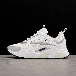 Dior B22 White Silver