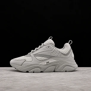 Dior B22 Grey