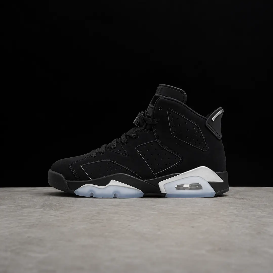 Jordan 6 Retro Metallic Silver 1