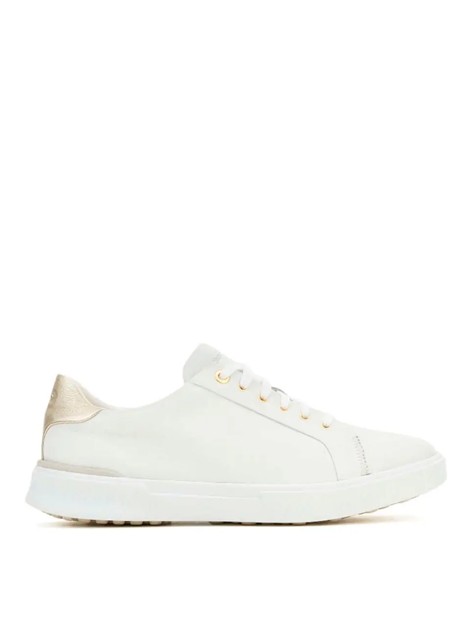 Zapatilla Moderna Mujer 1
