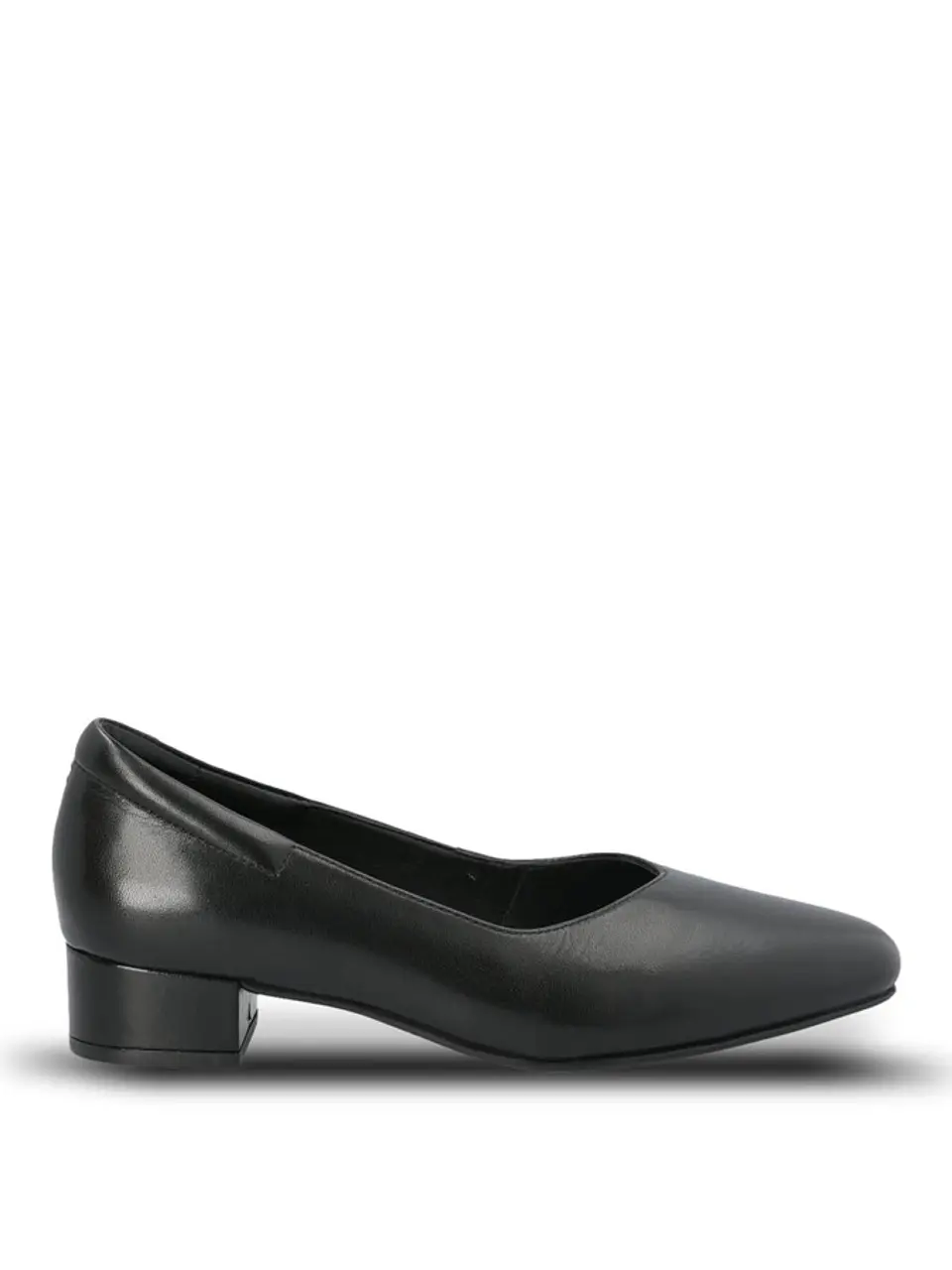 Zapato Elegante Mujer 1