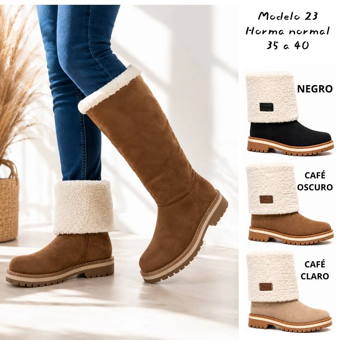 Modelo 23 - Aspen 1
